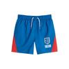 Boys Crest Swim Shorts