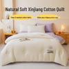Xinjiang Cotton Winter Quilt