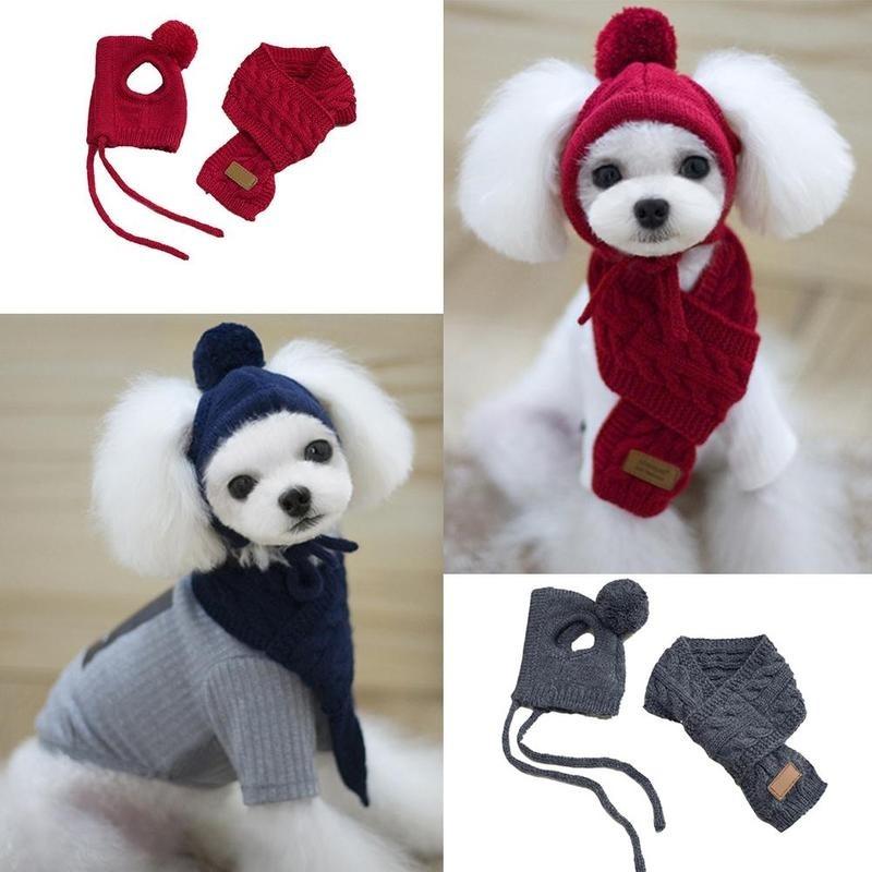 Haustier Hund Winter Warm Streifen Strickmütze + Schal Kragen Welpen Teddy Kostüm