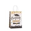 6/12Pcs Graduation Season Kraft Paper Gift Tote Packaging Bags Candy Snack Storage Pouch Graduation Party Favors