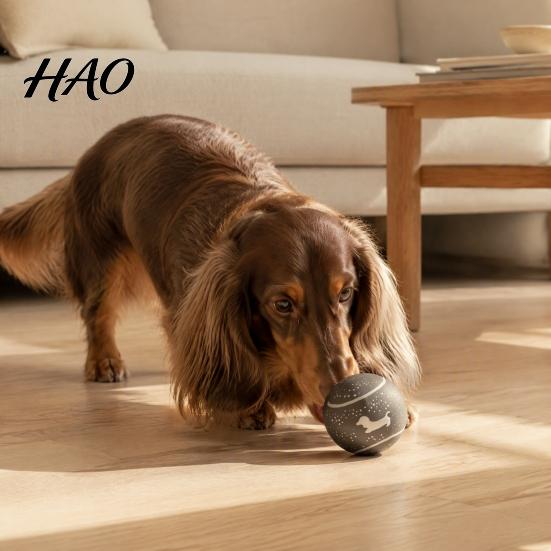 Durable Fetching Balls for Small Dogs Latex Squeaky Dog Ball, Interactive Fetch Cute Dachshund Pattern, Pet with Sound Chew Toy Medium Indoor Outdoor