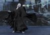 TAMASHII NATIONS Lord Voldemort Potter and the Goblet of Approximately 150mm PVC ABS Fabric Painted Movable Figure S.H.Figuarts (Harry Fire) & &