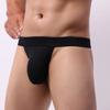 See Through Briefs T-Back Knickers Low Rise Men Panties