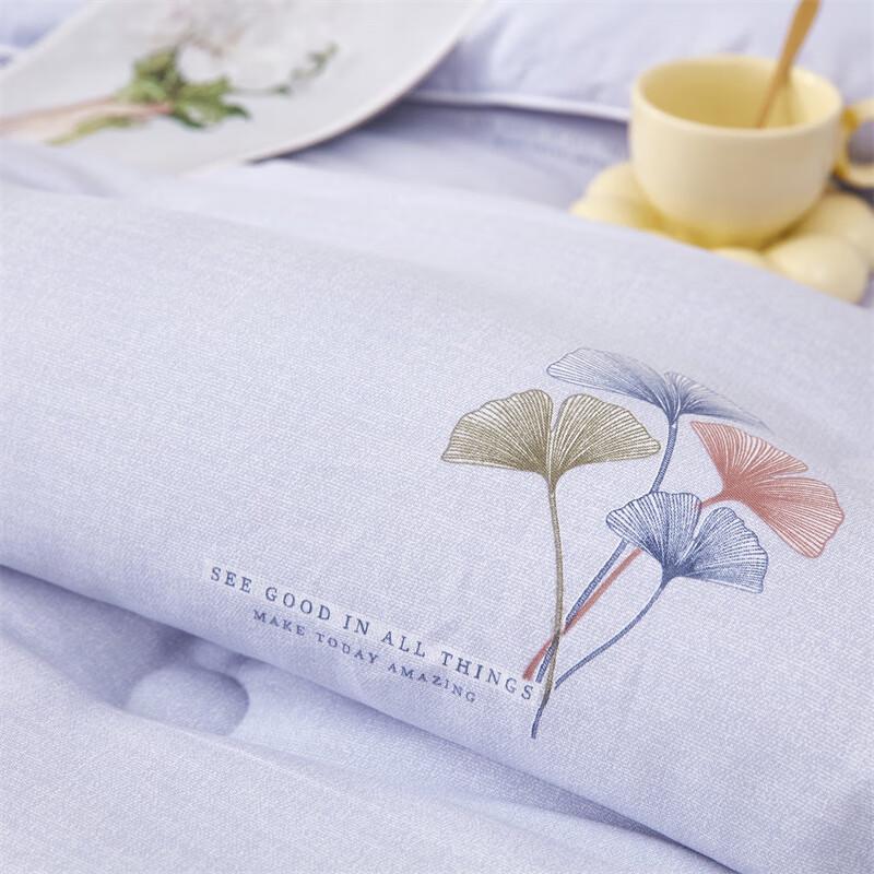 Donner Home Textiles 7-Hole Fiber Winter Quilt