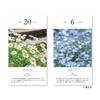 New Japan Calendar 2026 Flower Daily NK8829 Calendar, Calendar,