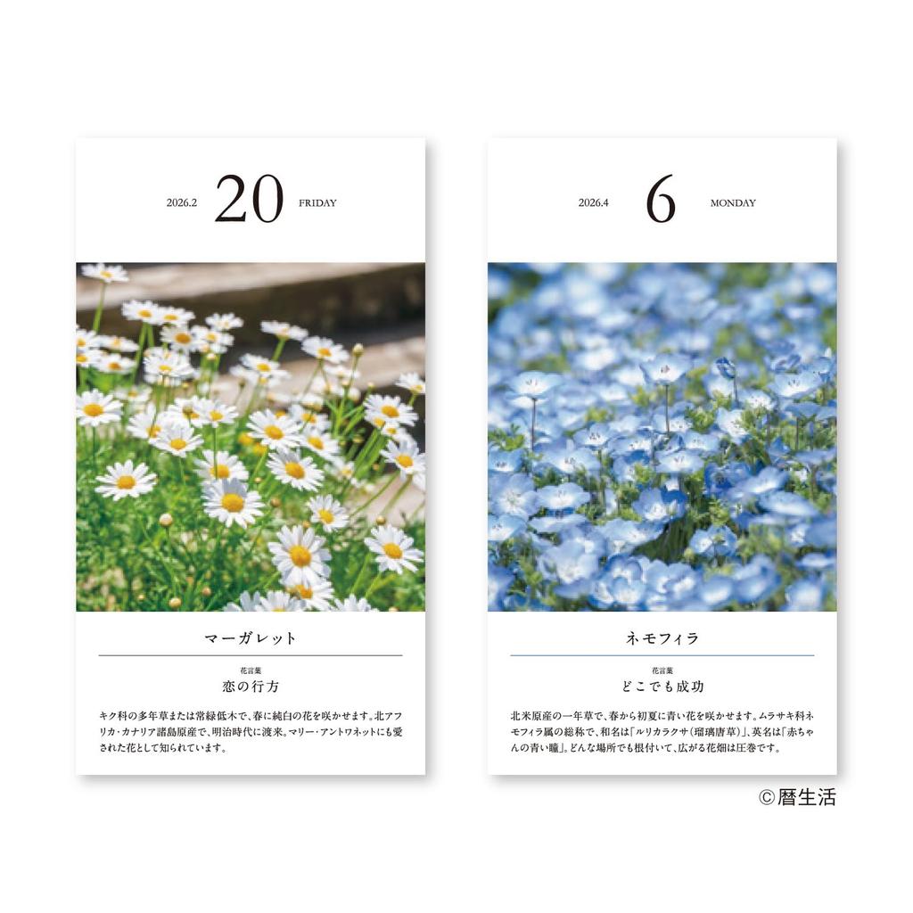 New Japan Calendar 2026 Flower Daily NK8829 Calendar, Calendar,