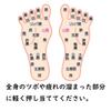 Foot Reflexology Massage Natural Pressure Point Press Compact Size [0161] Stick, Wood, Stick, Lymphatic,
