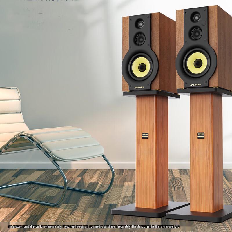 Sansui S880 HiFi 2.0 Home KTV & Theater Speaker System CN plug (adapter included)