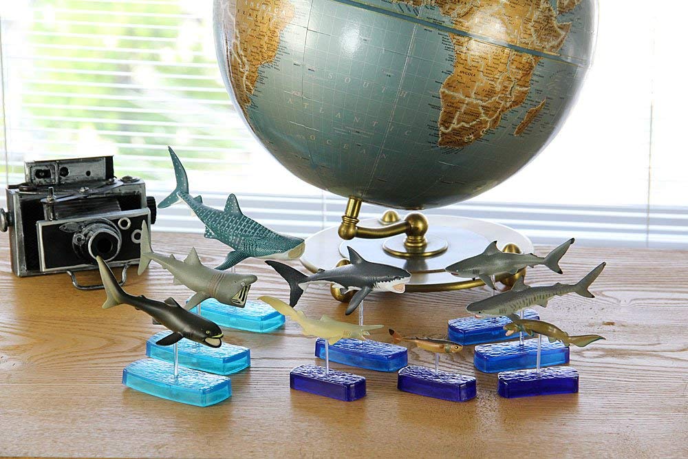 COLORATA Haifreunde Figur 3D Bilderbuch 9 Arten Bedienungsanleitung und Ständer Realistische Figur Überraschungsbox Lernspielzeug Geschenk Lebensmittel