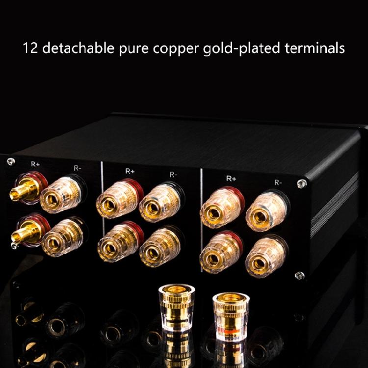 HIFI 2 In 1 Out Sound Switcher Amplifiers With 24Bit/192kHz Resolution And Double Channel Output For Home Theater