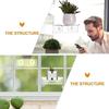 Aquarium Plant Holder Suction Acrylic Ledge Aquatic Grass Shelves Compact Transparent Aquarium Plants Rack For Fish Tank Window