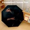 Portable Auto Folding Umbrella,Alex Warren 8 Rib Waterproof Umbrella For Camping Commute