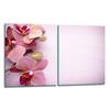 2x GLASS PROTECTIVE PLATE FOR STOVE 40x52 FLOWERS