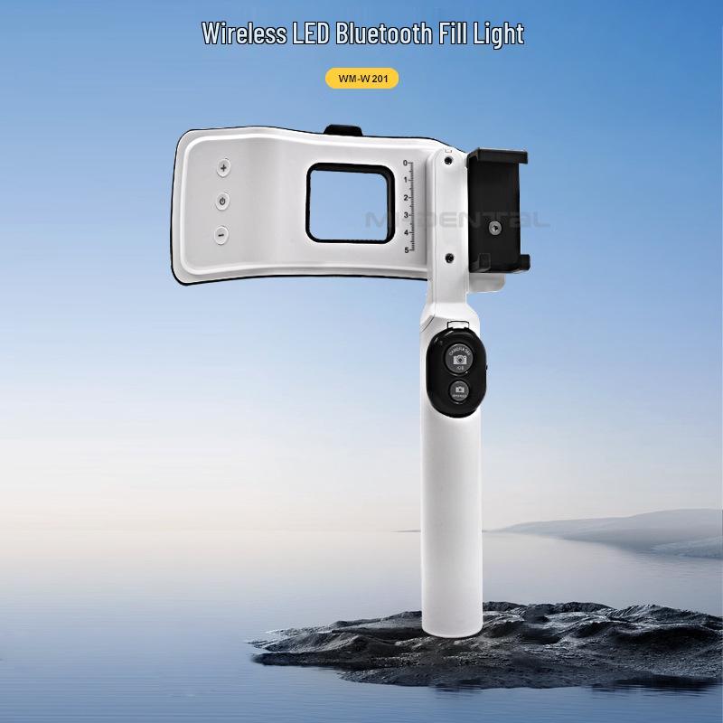 Portable LED Intraoral Photography Fill Light for Dental Use
