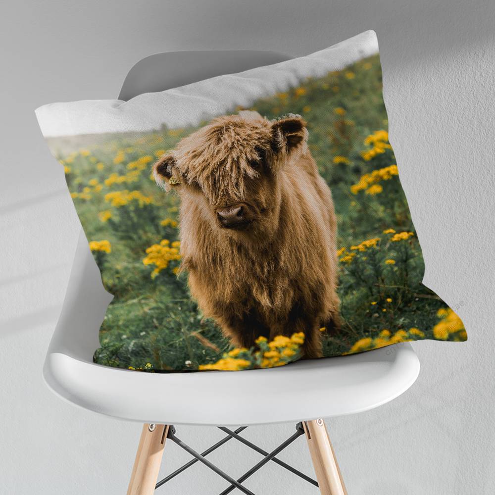 Cute Small Highland Cow Various Sizes Square Pillow Case For Car Home Bedchamber Decor Birthday Gift