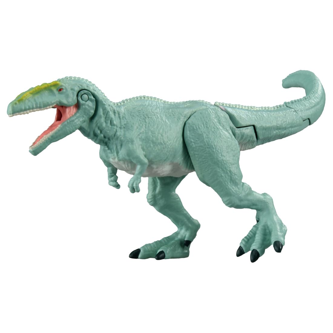 Takara Tomy AniA Giganotosaurus Dinosaur Toy AL-12 for Ages 3 and Up