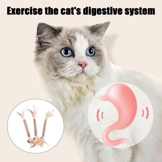 Natural Cat Chew Stick Cats Silvervine Dental Stick Promote Oral Health Bite Resistant Safe Chew Toy Teething Toy for Indoor Kittens