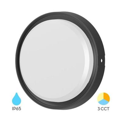 Round LED Wall Light 12W Black 3in1 IP65