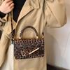 Autumn and Winter Retro Underarm Bag 2025 Fashionable New Foreign Style Versatile Leopard Print Popular Shoulder Small Square Bag Messenger Bag