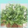 Globulus Eucalyptus Branch For Garden Party Photography Decoration Props