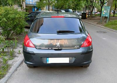 Romplip (roestvrij staal) voor Peugeot 308 2007-2013