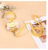 Cat Traction Rope Anti-break Free Special Cat Rope for Going Out I-shaped Adjustable Chest and Back Cat Rope