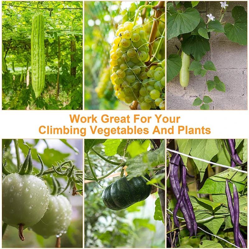 Durable Nylon Garden Climbing Net For Cucumber And Vegetables Heavy-Duty Support Easy To Install