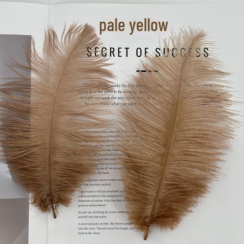 Barevné zavírače na dorty z pštrosího peří a příslušenství