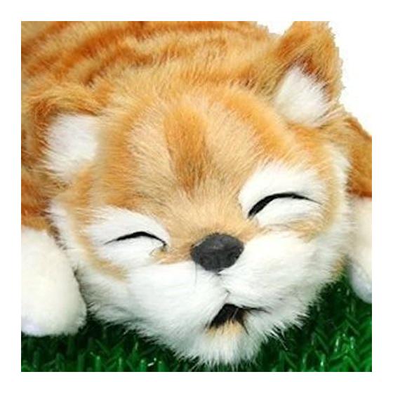 Space Rail (SPACERAIL) Laughing Cat Yellow