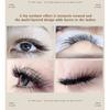 CoMango Fox 5D Shaped Eyelashes Mix8-13 Technological Fibers False Eyelashes Extension Promade Volume Fans Lash Cosmetics