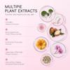 LAIKOU Japan Sakura Tone Up Cream Conceal Blemishes Brightening 30g
