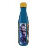 League Of Legends Champions Metal Water Bottle