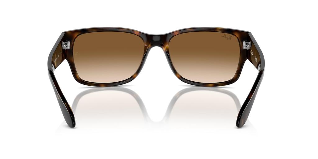 Sunglasses RB4388 HAVANA 58 Ray-Ban