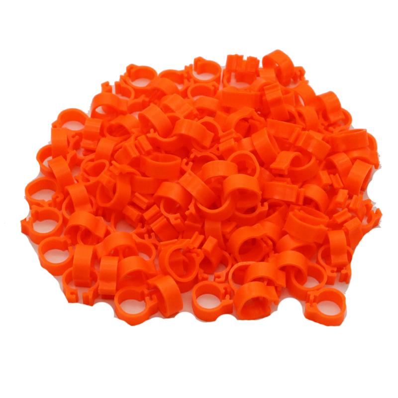 200 Pcs Inner Diameter 8mm Bird Foot Ring Dove Pigeon Parrot Leg Rings Small Birds Foot Ring Bird Clip Ring 10 Colors