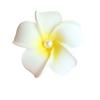 Pearl Plumeria Flower Hair Clips For Women Girls Hairpins Egg Flower Barrette Hawaiian Wedding Party Bag Hat Accessories