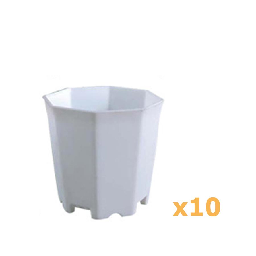 

10pcs 7cm Octagonal White Flowerpot Table Succulent Plant Mini Planting Flowerpot Balcony Office Desktop Plant Decoration