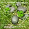 2Pcs Real Four Leaf Clover - Clover Stone Pocket Lucky Charm, Irish Blessing Good Luck Gift for Friends, Family (Transparent)