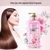 KOSTIN Hair Care Gift Set