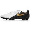 Phantom GX 2 Academy HG/AG Artificial Turf Shock Absorbing Durable Soccer Shoes Men Soccer Shoes White Black Gold FJ2551-100