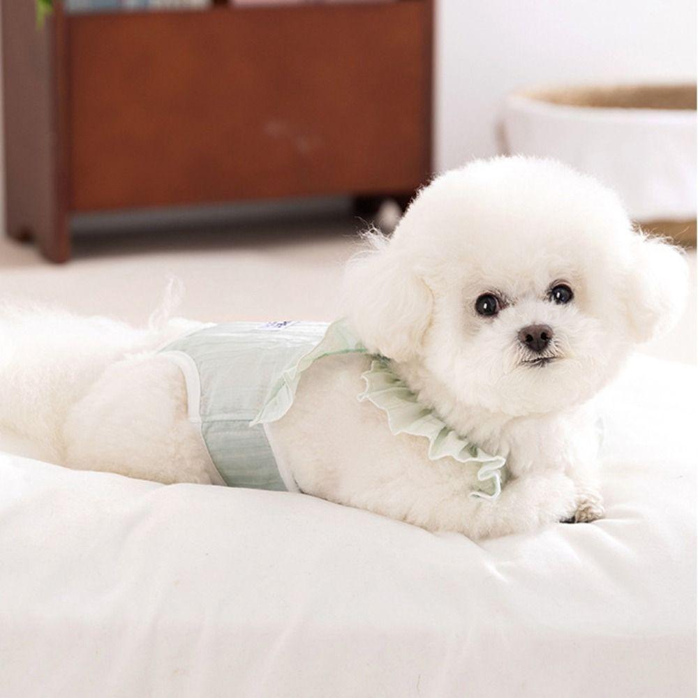 Thin Pet Dog Diapers Solid Color Summer Pet Pants Fashion Dog Physiology Pants  Anti Harassment