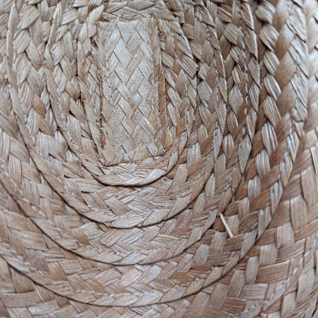 Used STETSON Stetson straw hat