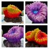 Resin Aquarium Corals Plant Ornaments Life Like Corals Reef Hideouts Place Shelter Water Plant For Fishtanks Landscape