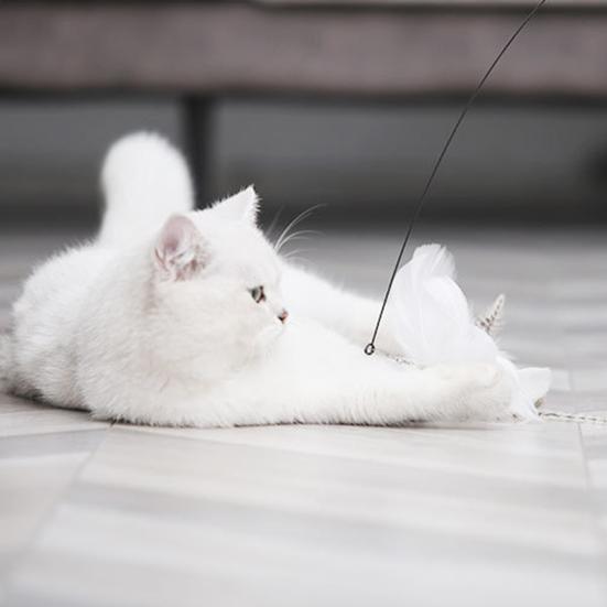 Katzen-Spielzeug mit starker Saugnapf, interaktiver Langeweile-Vertreiber, Stab-Spielzeug, Kreatives, Auffälliges Katzenspielzeug für Zuhause, Haustierbedarf