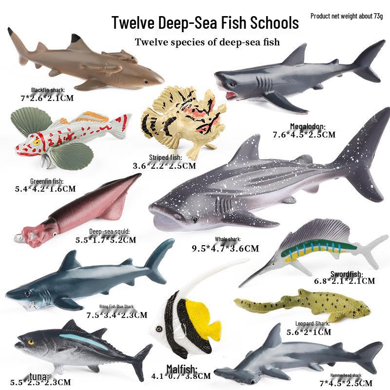 Children's Early Education Ocean Fish Model Toy: Megalodon, Whale Shark, Tuna