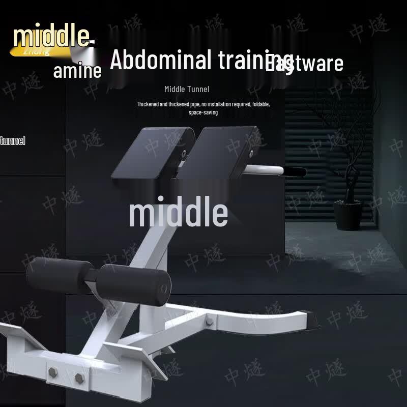 ZhongSui Roman Chair Hyperextension Bench