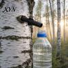 Leak-proof Sap Collector Birch Harvesting Spout, 3D Printed Leak-Proof Tree Tapping Spigot, Tap Reusable Spout for Maple