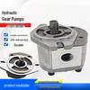 YunDuo P225RT01DT Hydraulic Gear Oil Pump