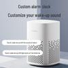 Xiaomi Xiaoai Speaker Play CN plug (adapter included)
