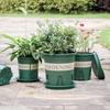 Liliang Breathable Plastic Root Control Flower Pot