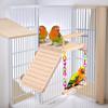 Bird Perch Swing Wooden Parrot Training Stand With Climbing Ladder And Mirror Pet Cage Accessories Bird Perching Toy